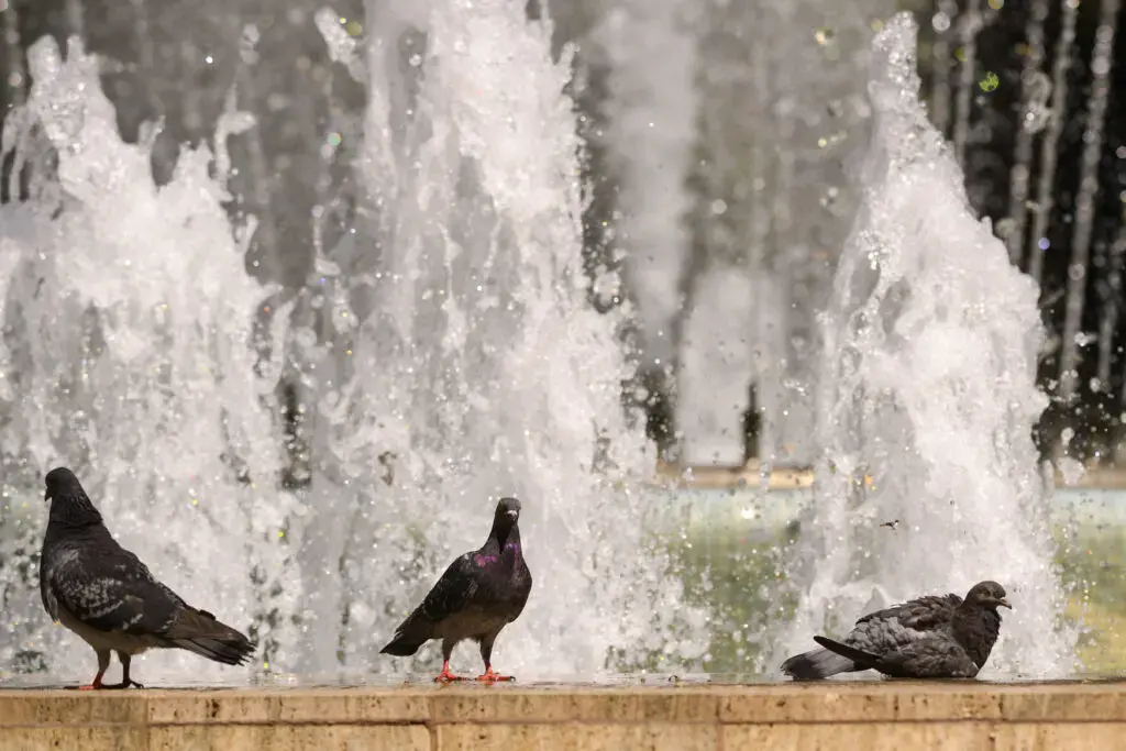 Caniculă în București: temperaturi de până la 35 de grade și disconfort termic accentuat