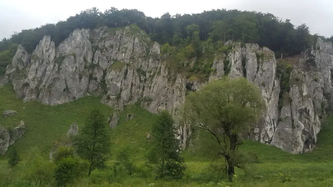 Șeful Căminului Spital Sibiu, reținut pentru șpăgi mascate în donații