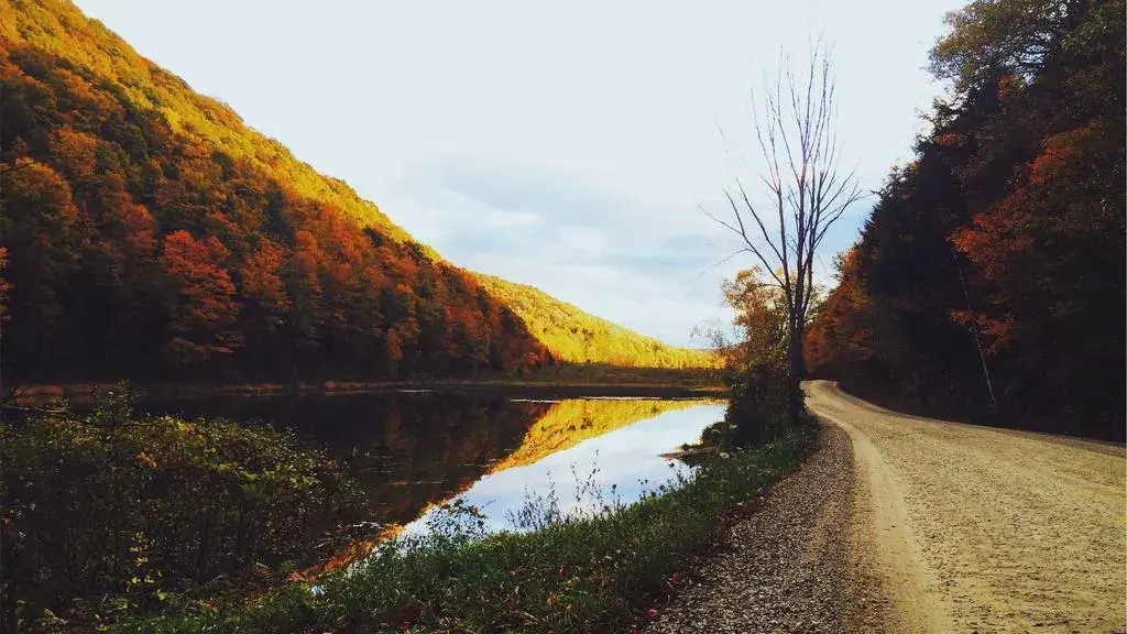 Ce i-a cerut Sorin Grindeanu președintelui Nicușor Dan la Cotroceni